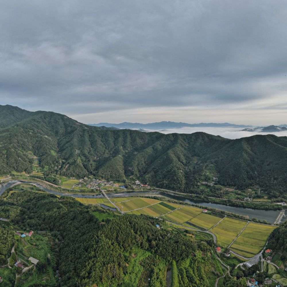 주간전경