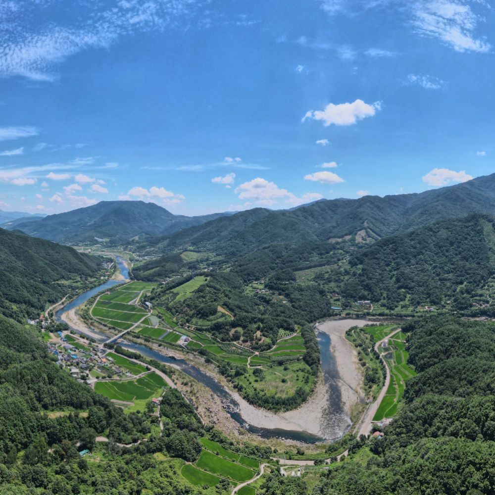 주간전경