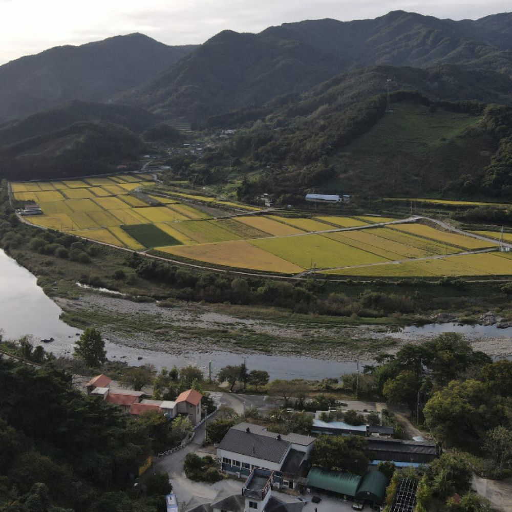 주간전경